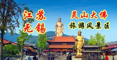 岛国骚屄江苏无锡灵山大佛旅游风景区